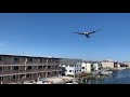 Seagulls Catching The Bread In Mid Air