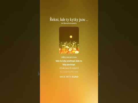 Řekni, kde ty kytky jsou (Marie Rottrová Megaremix)