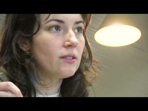 Creativity Theory video.