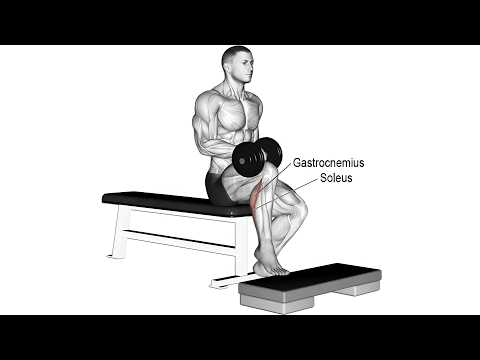 Watch Dumbbell Seated One-Leg Calf Raise on YouTube