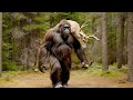 Bigfoot - Don't Touch My Jerky (Official Music Video)