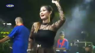 Download lagu Gavra ~ Rojali/mandi susu (Dian amorr) mp3 Download lagu Gavra ~ Rojali/mandi susu (Dian amorr) mp3