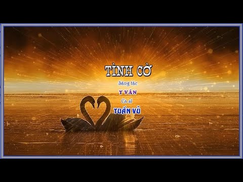 Tình cờ - Tuấn Vũ