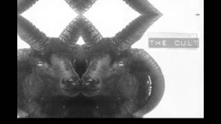 CULT - UNIVERSAL YOU