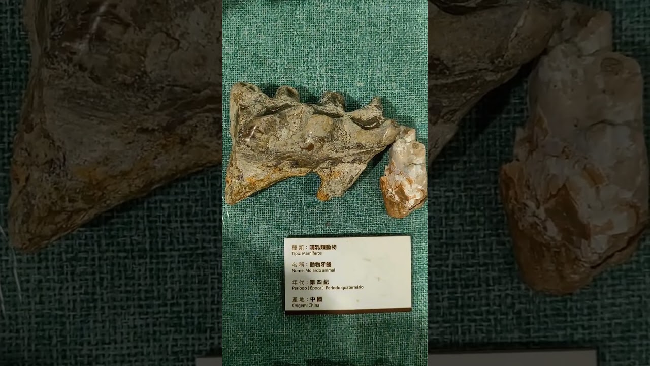 YouTube Short thumbnail