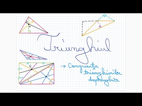 Triangle: congruence of right triangles - Grade 6