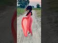 Saree Video Of Smayra Smayra Insta Girl Saree Girl