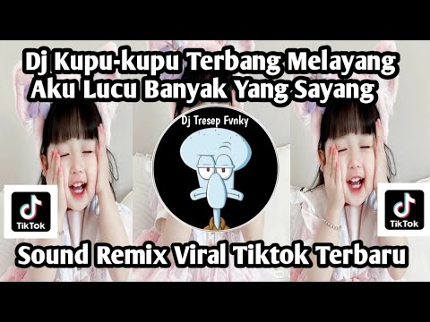 DJ KUPU KUPU TERBANG MELAYANG AKU LUCU BANYAK YANG SAYANG SOUND VIRAL TIKTOK TERBARU NIE ‼️