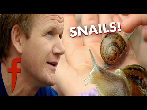 Gordon Eats Snails From His Garden | The F Word