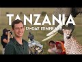 13 Day Itinerary Tanzania Safari Serengeti Tarangire Zanzibar And More