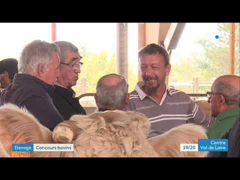 download lagu mp3 mp4 Bovins De Boucherie, download lagu Bovins De Boucherie gratis, unduh video klip Bovins De Boucherie