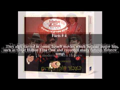 HaGashash HaHiver Top # 5 Facts