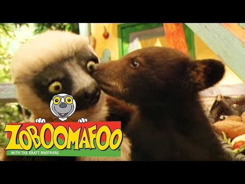 🐒 Zoboomafoo 🐒 123 | Bears - Full Episode | Kids TV Shows