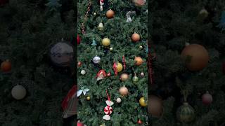 Grand Turk Beautiful Christmas Tree! #shorts #alliwantforchristmasisyou