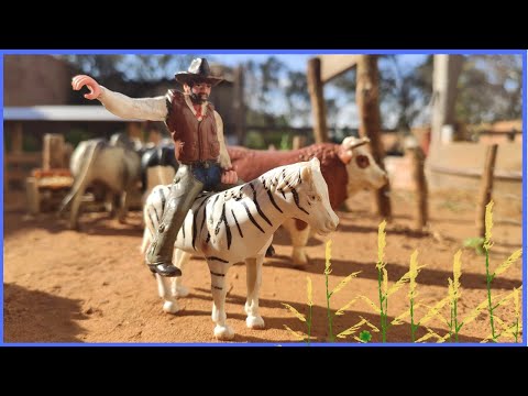 Fazenda de brinquedo MONTANDO EM UMA ZEBRA SELVAGEM