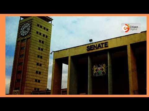 Senate probes goons