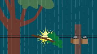 Causes of Power Outages & Blinks