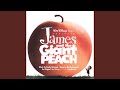 Into The Peach (From "James and the Giant Peach" / Score)