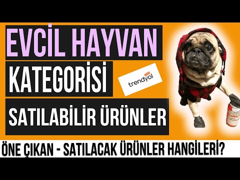 , title : 'Trendyol Pet (Evcil Hayvan) Kategorisi Ürün Bulma - Analiz'