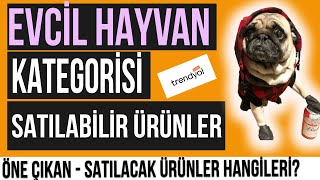 Trendyol Pet (Evcil Hayvan) Kategorisi Ürün Bulma - Analiz