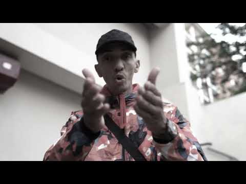 310 -  Lesram x Zesau