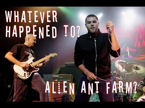 download lagu mp3 mp4 What Happened To Alien Ant Farm, download lagu What Happened To Alien Ant Farm gratis, unduh video klip What Happened To Alien Ant Farm