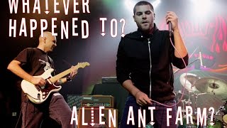 Whatever Happened to Alien Ant Farm?