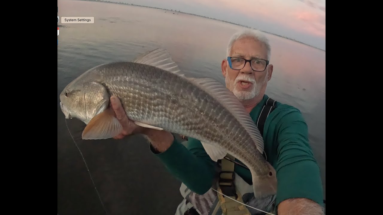 Must watch video , The Monster! Ringlingflats.