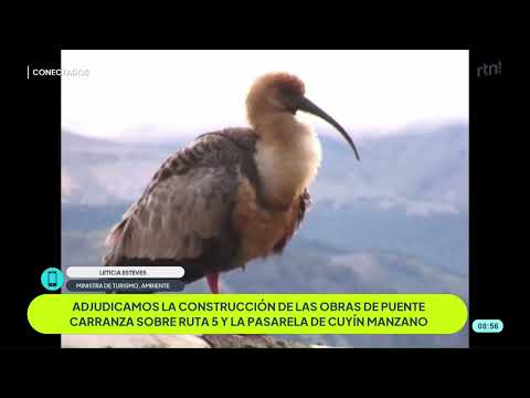 #conectadosrtn Neuquén conectada Puente Carranza y Pasarela Cuyín Manzano   Leticia Esteves