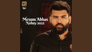 Download lagu Saqqa E Sakina Abbas Abbas mp3 Download lagu Saqqa E Sakina Abbas Abbas mp3