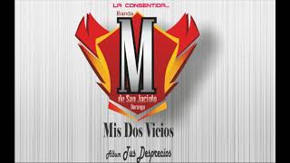 MIS DOS VICIOS BANDA M