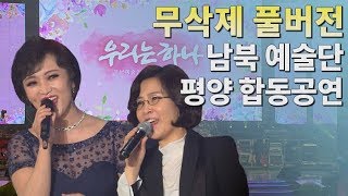 '우리는 하나'...남북평화협력기원 평양공연 / 연합뉴스TV (YonhapnewsTV)