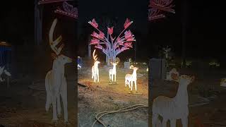 New NIT Garden .... Trimurti nagar Nagpur ... #best #minivlog #bestpicnicplace #nagpur #nearyou