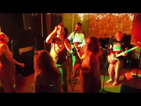 The Whistleblowers - Mr Simpson (Live @ Seven Miles Out)