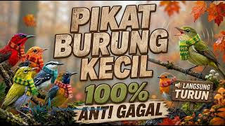 Download lagu PIKAT BURUNG PALING AMPUH ANTI GAGAL! Audio Pikat Burung Kecil Jernih dan Terbukti Jitu mp3