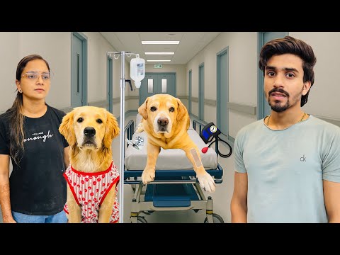 Leo’s Life After Surgery | He Started Walking | Anant Rastogi 