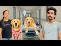 Leo S Life After Surgery He Started Walking Anant Rastogi