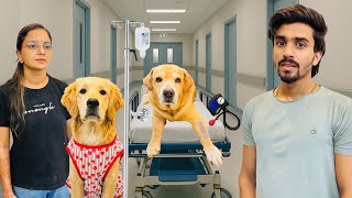 Download lagu Leo’s Life After Surgery | He Started Walking | Anant Rastogi  mp3 Download lagu Leo’s Life After Surgery | He Started Walking | Anant Rastogi  mp3