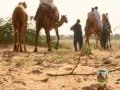 Shaman Ali Mirali Jeejal Maa