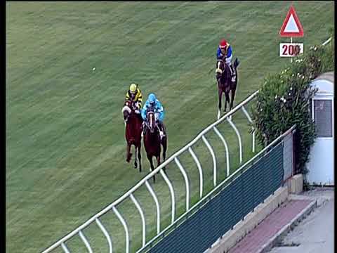 Galoppo 22/06/2018 - 4ª corsa