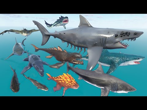 Mutant Giant Shark Vs Aircraft Megalodon - 3D Real Sharks, Monster Shark Size Comparison