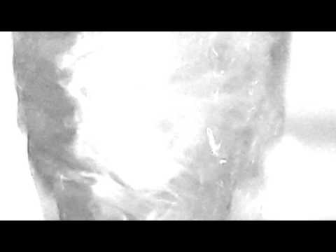 Gustave Tiger - Opel (Syd Barrett cover)