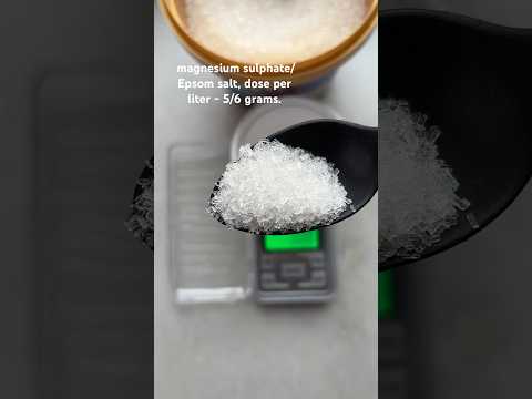 Spray Epsom Salt on Your Plants and See the magic Greener Leaves, Faster Growth, Healthier Harvest!