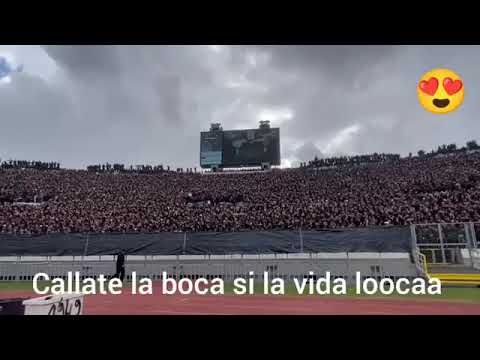 🚨🚨Somos curva suuud👽 nuevo tema de la curva sud