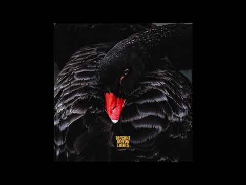 Mesani - Liquor (feat. Jaeeun, Laura) (Official Audio)