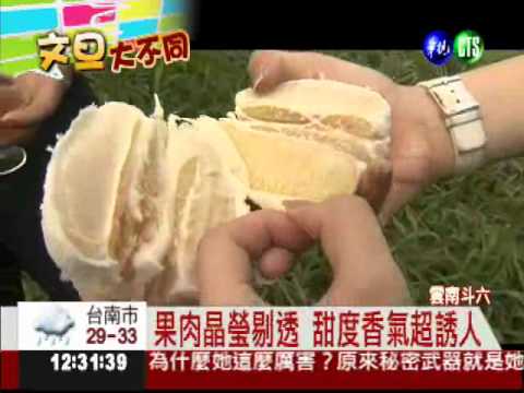 全台最頂級文旦 一顆要價450