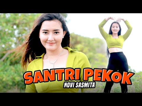 SANTRI PEKOK - Novi Sasmita X Bajol Ndanu (Official Music Video)