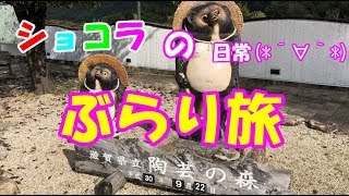 ショコラの日常！ぶらり旅！滋賀県信楽町(*´∀｀*)　【陶芸の森】