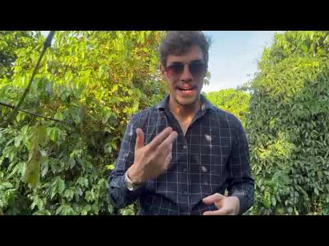 Estudo de caso - Plantas Daninhas. Sitio em Capetinga Minas Gerais.