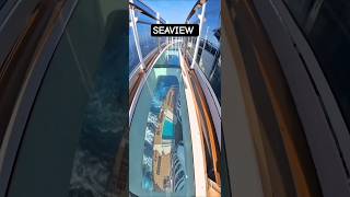 MSC SEAVIEW cruzeiro ‎⁨@cruzeiros2025⁩ navio Salvador Buzios  #cruzeiro #google #shorts